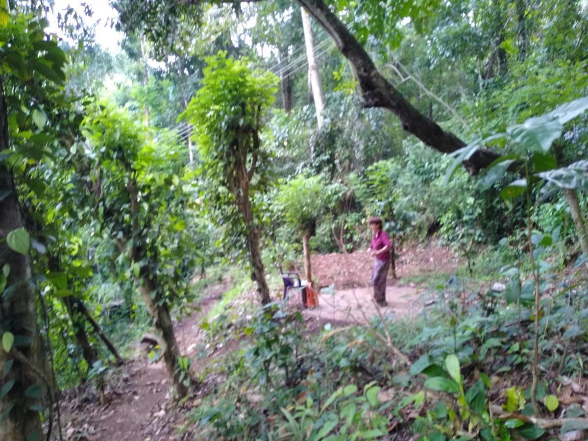 The Pepper Cottage Gomagoda Bagian luar foto