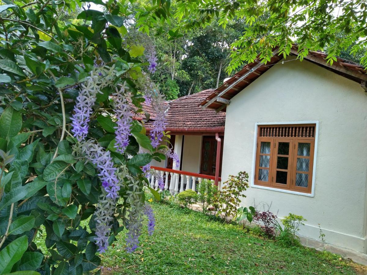 The Pepper Cottage Gomagoda Bagian luar foto