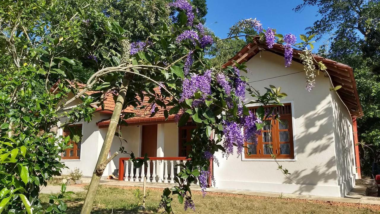 The Pepper Cottage Gomagoda Bagian luar foto