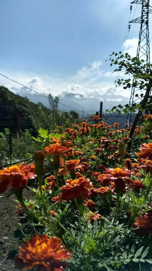The Pepper Cottage Gomagoda Bagian luar foto
